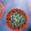 HantaVirus
